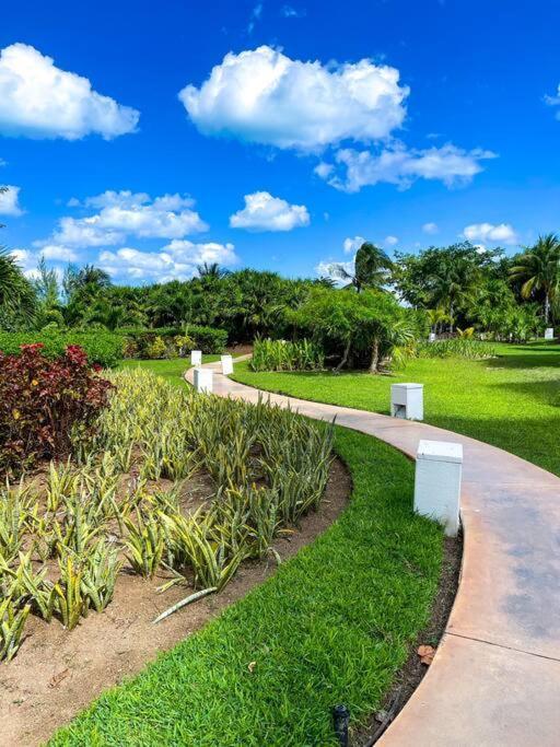 Punta Me Luxury Apartments Ocean View & Beach Front In Amara 坎昆 外观 照片