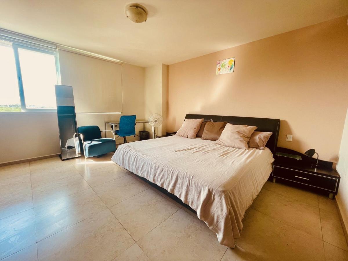 Punta Me Luxury Apartments Ocean View & Beach Front In Amara 坎昆 外观 照片